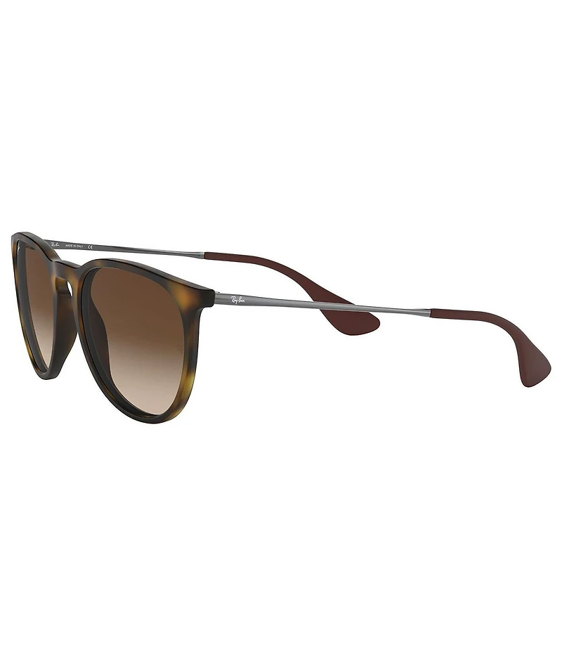 Ray-Ban The Erika Classic Sunglasses