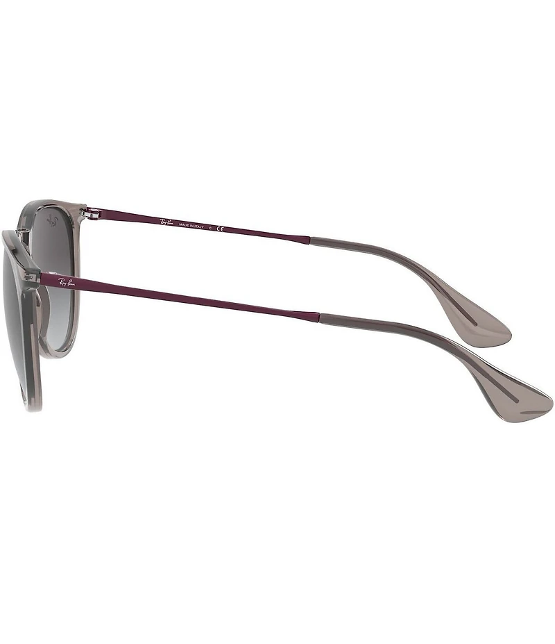 Ray-Ban Unisex Erika 54mm Transparent Round Sunglasses
