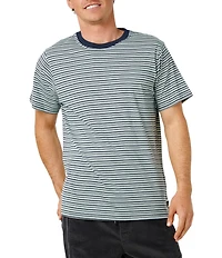 Rip Curl Artist Of The Search Stripe Relaxed T-Shirt