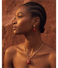 Robert Lee Morris Soho Jasper Stone Drop Earrings