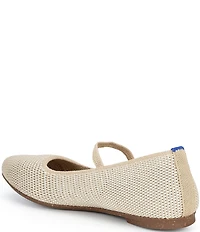 Rothy's The Max Square Mary Jane Flats