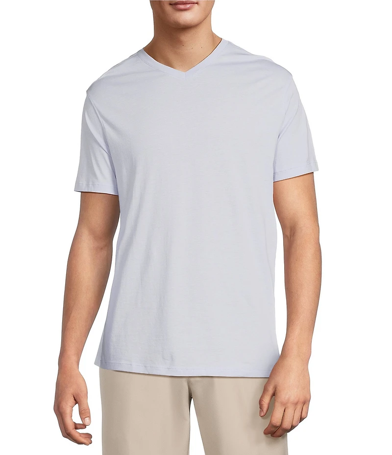 Roundtree & Yorke Big & Tall Solid Cloud Short Sleeve V-Neck T-Shirt