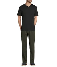 Roundtree & Yorke Big & Tall Solid Cloud Short Sleeve V-Neck T-Shirt