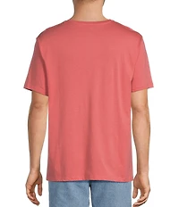 Roundtree & Yorke Big & Tall Solid Cloud Short Sleeve V-Neck T-Shirt