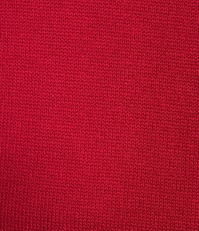 Roundtree & Yorke Long Sleeve Solid V-Neck Pullover Sweater