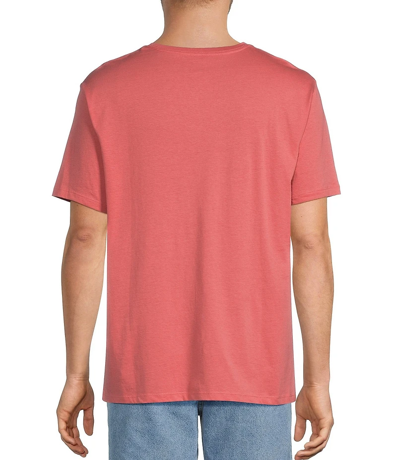 Roundtree & Yorke Solid Cloud Short Sleeve V-Neck T-Shirt