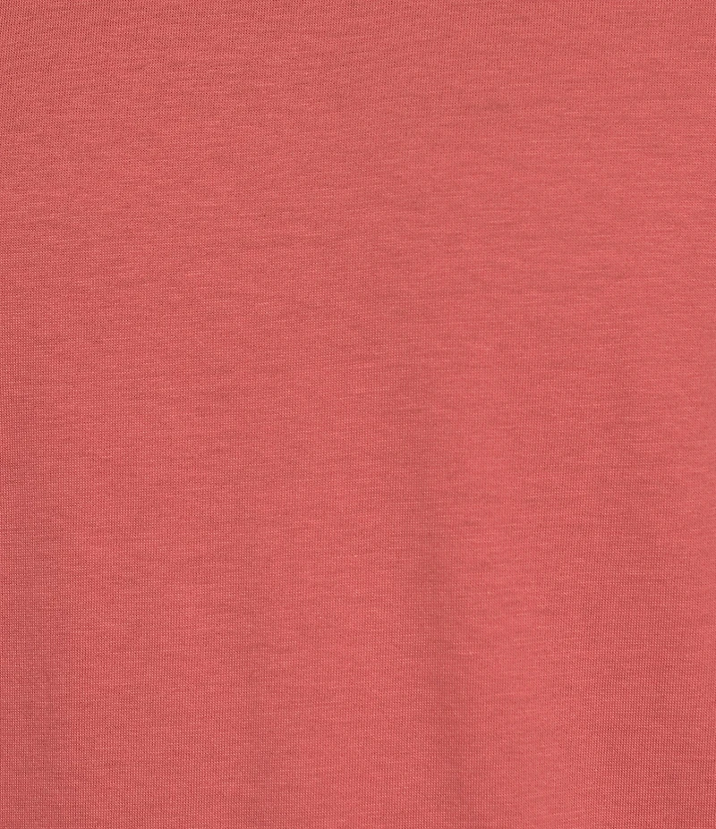 Roundtree & Yorke Solid Cloud Short Sleeve V-Neck T-Shirt