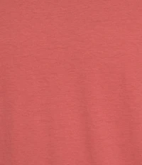 Roundtree & Yorke Solid Cloud Short Sleeve V-Neck T-Shirt