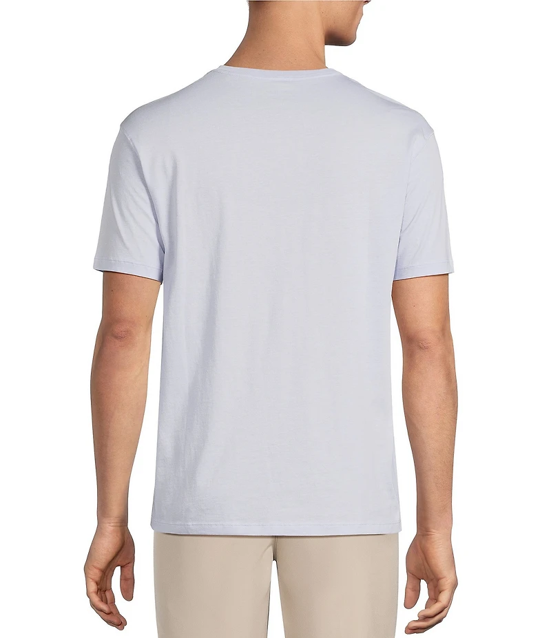 Roundtree & Yorke Solid Cloud Short Sleeve V-Neck T-Shirt