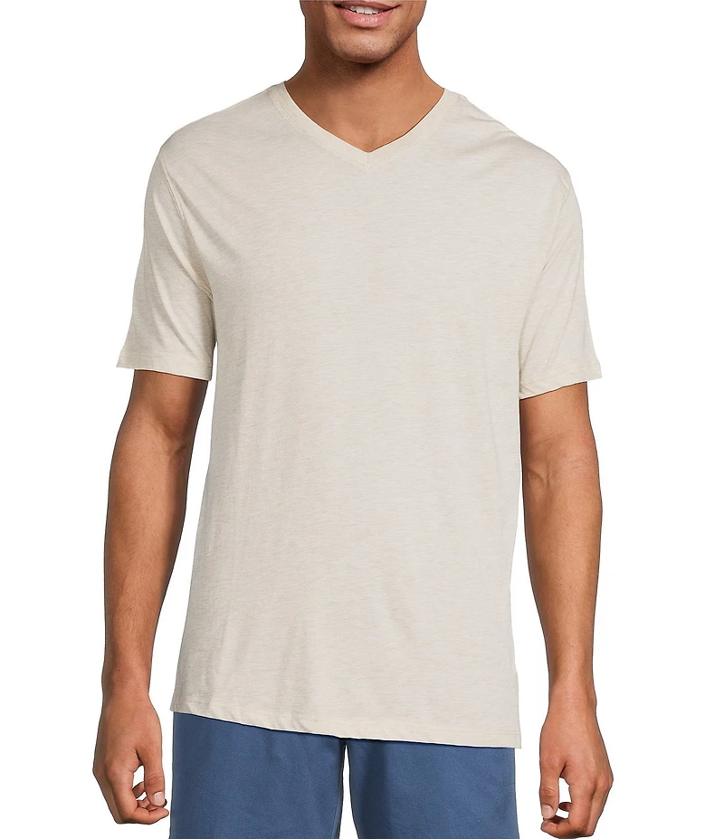 Roundtree & Yorke Solid Cloud Short Sleeve V-Neck T-Shirt