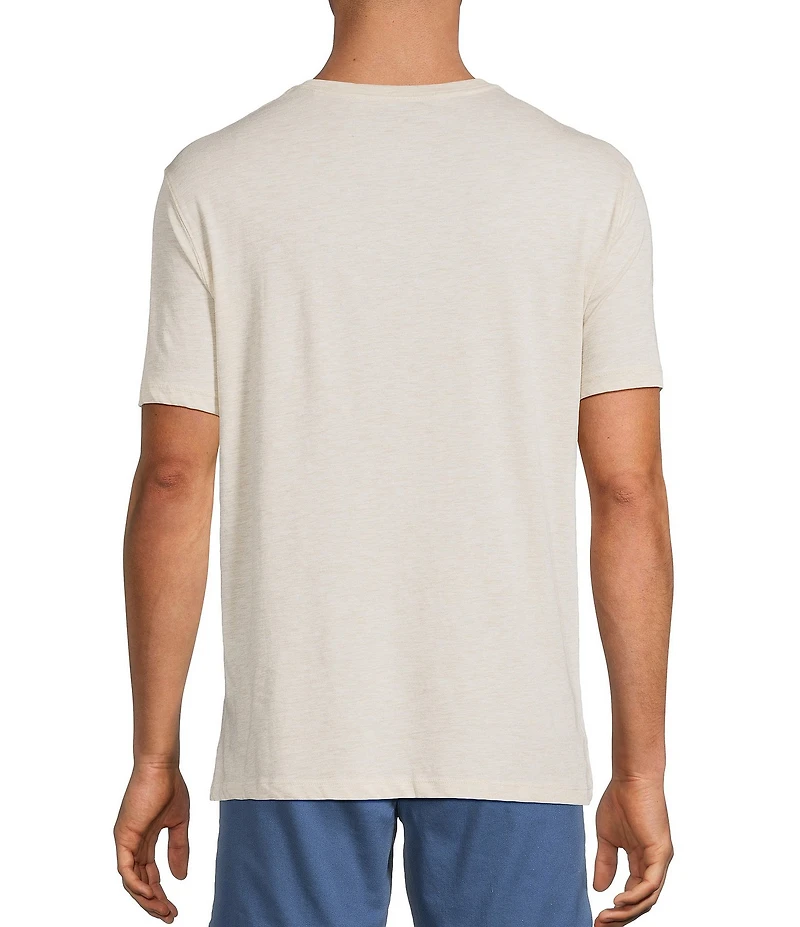 Roundtree & Yorke Solid Cloud Short Sleeve V-Neck T-Shirt