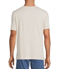 Roundtree & Yorke Solid Cloud Short Sleeve V-Neck T-Shirt