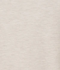 Roundtree & Yorke Solid Cloud Short Sleeve V-Neck T-Shirt