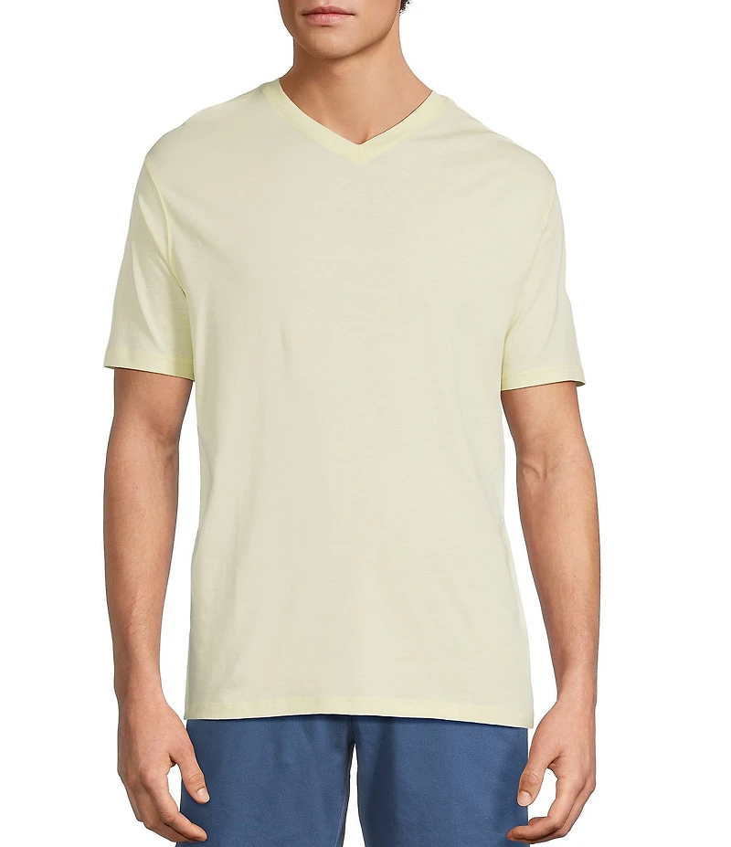 Roundtree & Yorke Solid Cloud Short Sleeve V-Neck T-Shirt