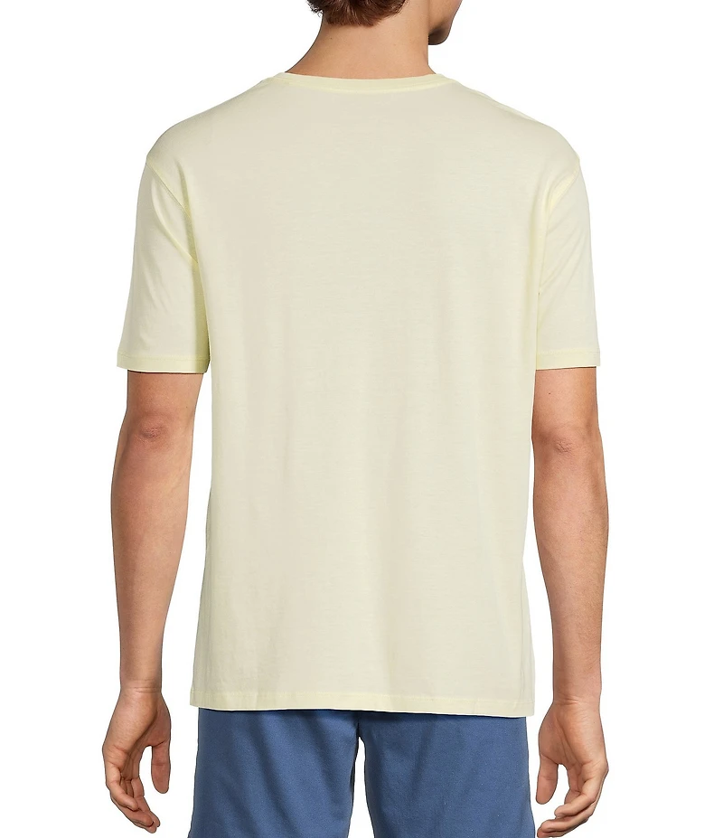 Roundtree & Yorke Solid Cloud Short Sleeve V-Neck T-Shirt
