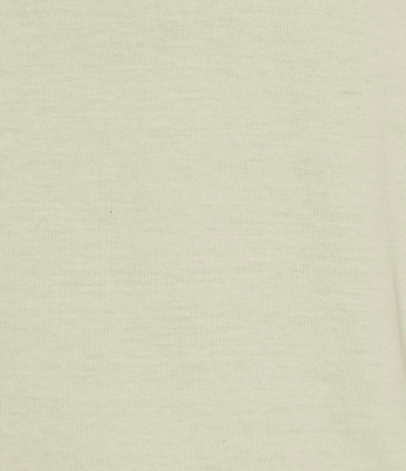 Roundtree & Yorke Solid Cloud Short Sleeve V-Neck T-Shirt