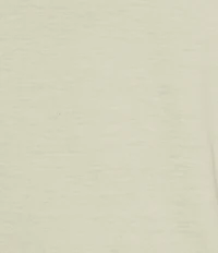 Roundtree & Yorke Solid Cloud Short Sleeve V-Neck T-Shirt