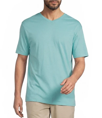 Roundtree & Yorke Solid Cloud Short Sleeve V-Neck T-Shirt