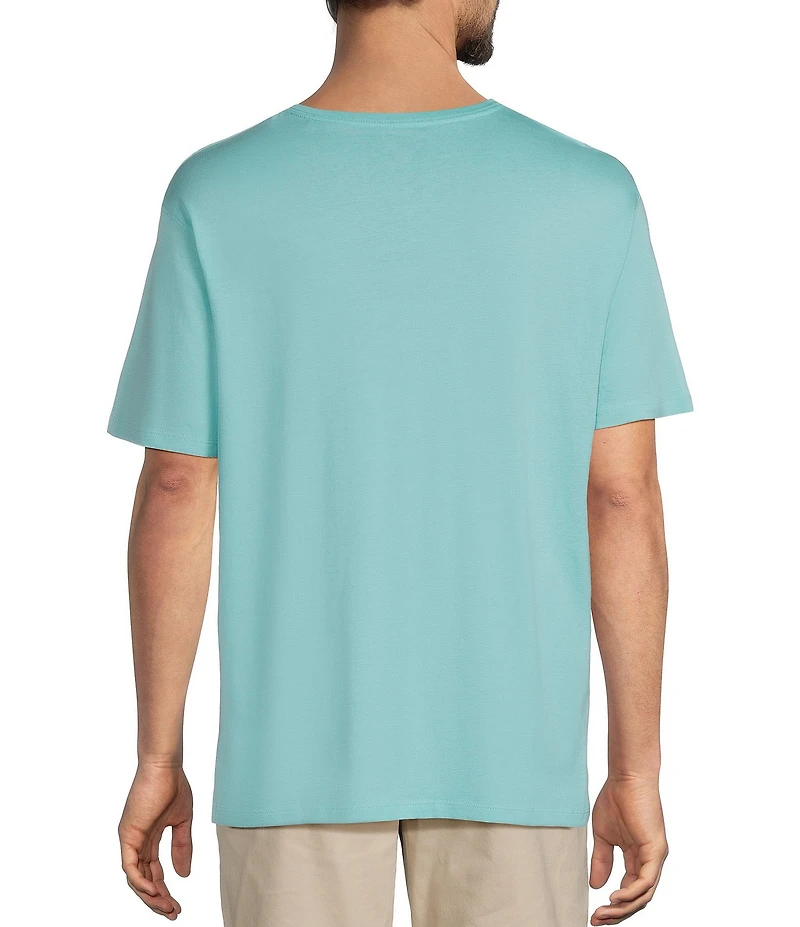 Roundtree & Yorke Solid Cloud Short Sleeve V-Neck T-Shirt