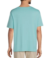 Roundtree & Yorke Solid Cloud Short Sleeve V-Neck T-Shirt