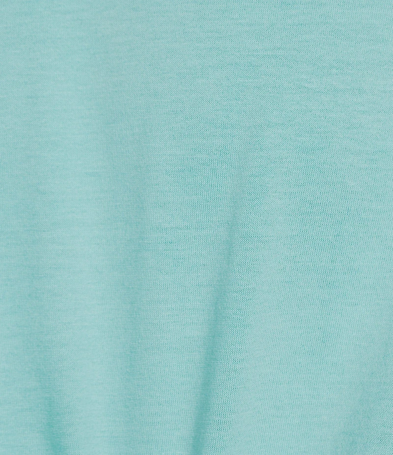 Roundtree & Yorke Solid Cloud Short Sleeve V-Neck T-Shirt