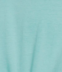 Roundtree & Yorke Solid Cloud Short Sleeve V-Neck T-Shirt