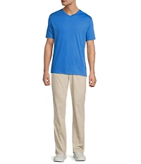 Roundtree & Yorke Solid Cloud Short Sleeve V-Neck T-Shirt