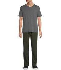 Roundtree & Yorke Solid Cloud Short Sleeve V-Neck T-Shirt