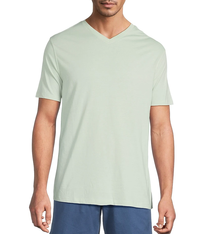 Roundtree & Yorke Solid Cloud Short Sleeve V-Neck T-Shirt