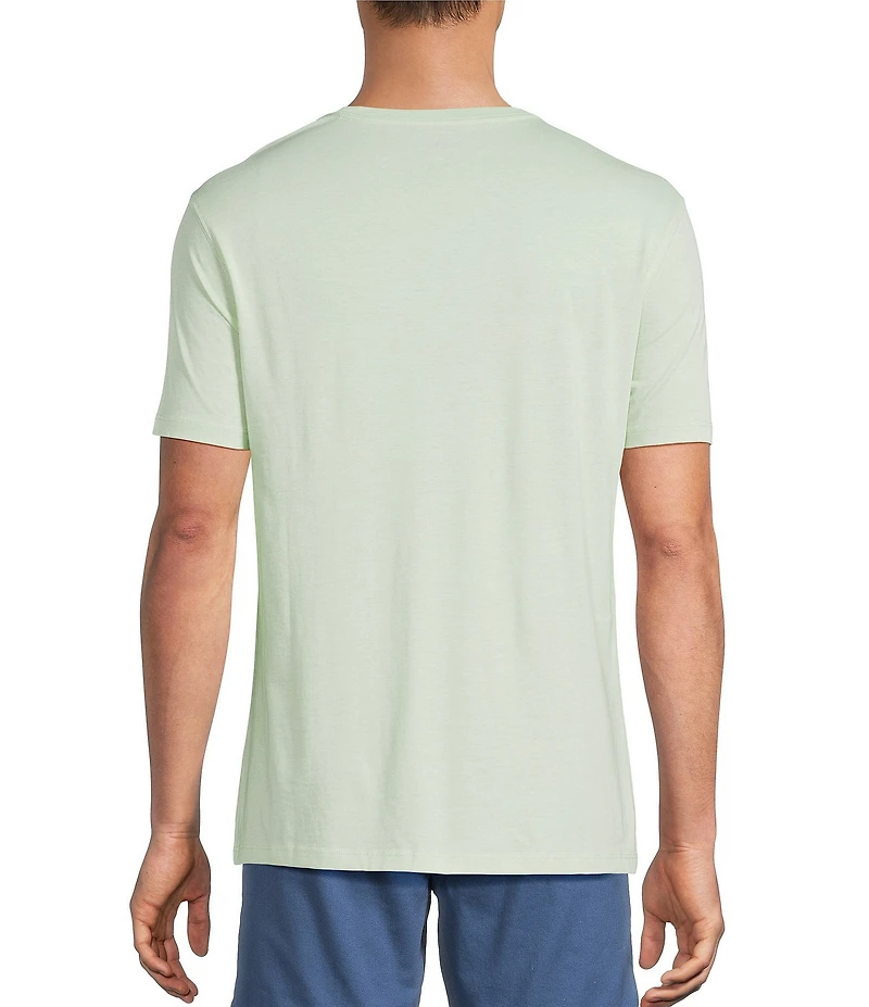 Roundtree & Yorke Solid Cloud Short Sleeve V-Neck T-Shirt