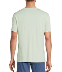 Roundtree & Yorke Solid Cloud Short Sleeve V-Neck T-Shirt