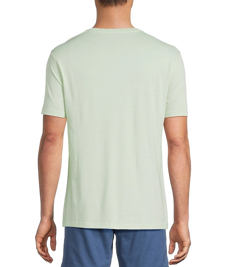 Roundtree & Yorke Solid Cloud Short Sleeve V-Neck T-Shirt