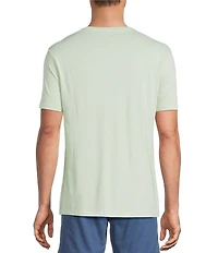 Roundtree & Yorke Solid Cloud Short Sleeve V-Neck T-Shirt