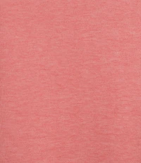 Roundtree & Yorke TravelSmart Easy-Care Performance Short Sleeve Solid Birdseye Polo Shirt