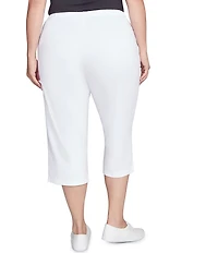 Ruby Rd. Plus Size French Terry Knit Pull-On Pants