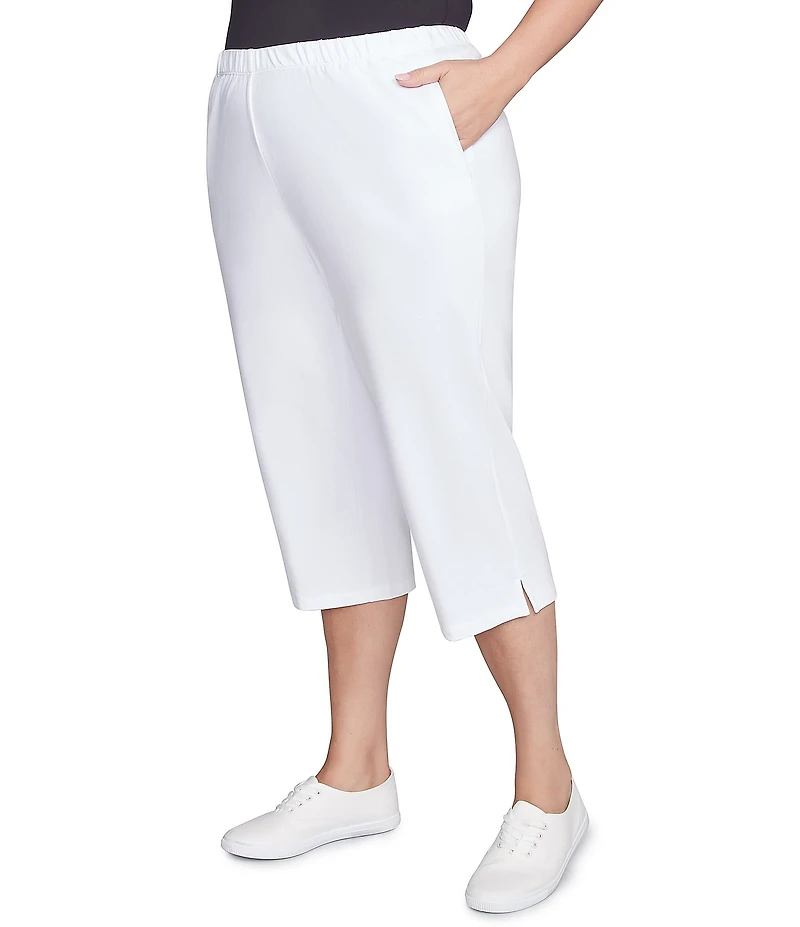 Ruby Rd. Plus Size French Terry Knit Pull-On Pants