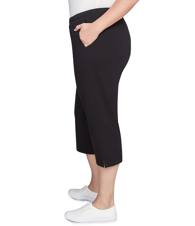 Ruby Rd. Plus Size French Terry Knit Pull-On Pants