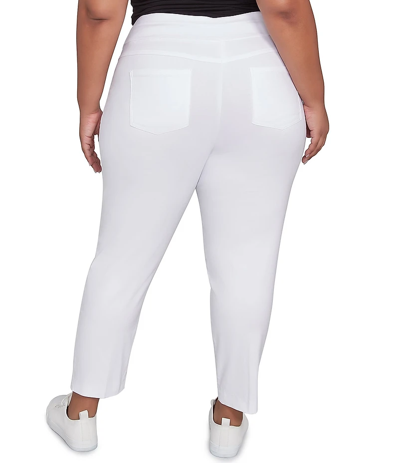 Ruby Rd. Plus Size Silk Tech Straight Leg Pull-On Ankle Pants