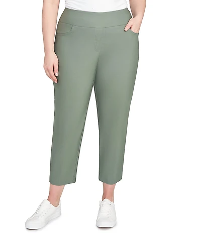 Ruby Rd. Plus Size Silk Tech Straight Leg Pull-On Ankle Pants