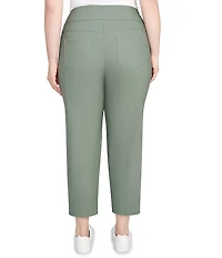 Ruby Rd. Plus Size Silk Tech Straight Leg Pull-On Ankle Pants