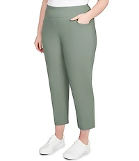 Ruby Rd. Plus Size Silk Tech Straight Leg Pull-On Ankle Pants