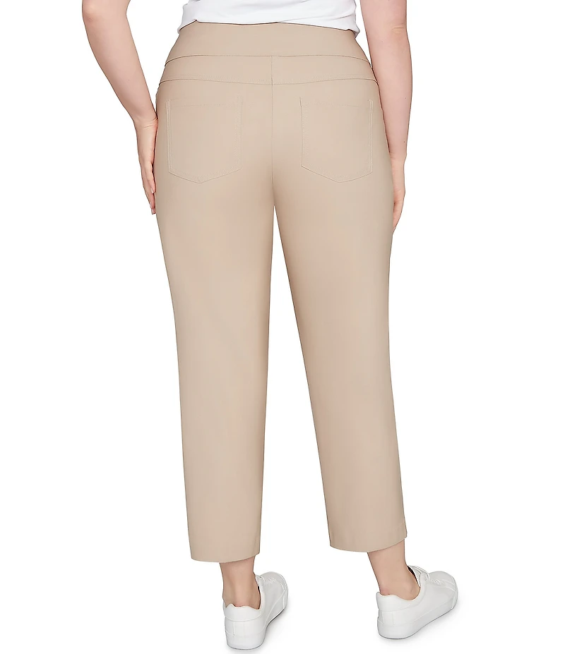 Ruby Rd. Plus Size Silk Tech Straight Leg Pull-On Ankle Pants