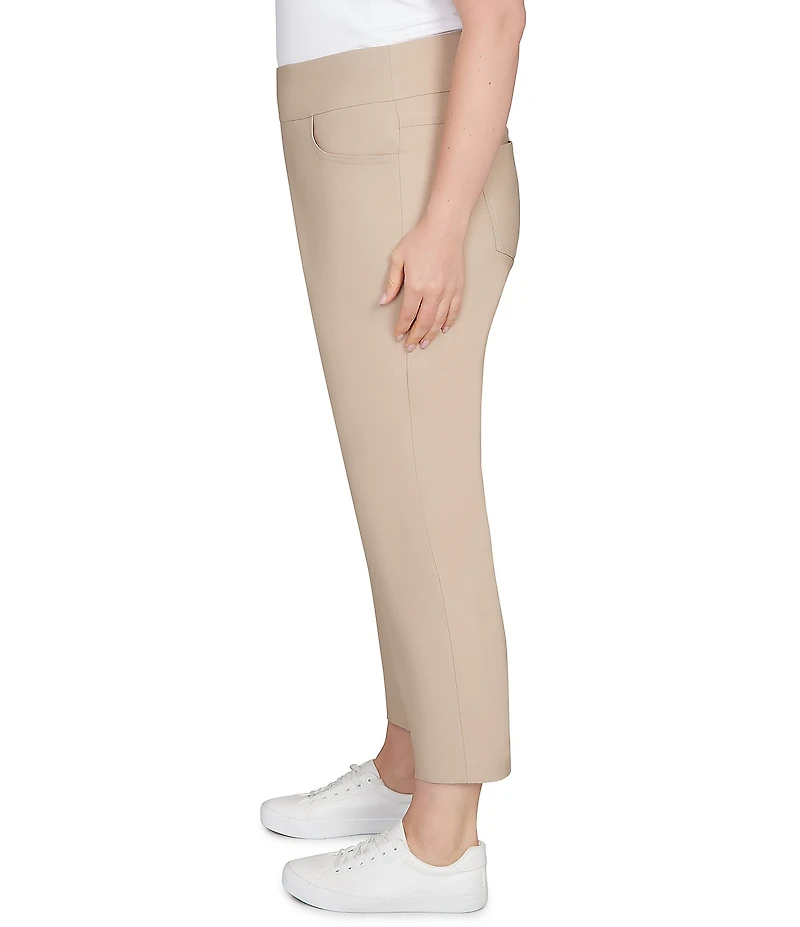 Ruby Rd. Plus Size Silk Tech Straight Leg Pull-On Ankle Pants