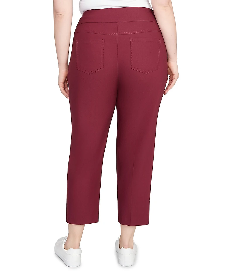 Ruby Rd. Plus Size Silk Tech Straight Leg Pull-On Ankle Pants