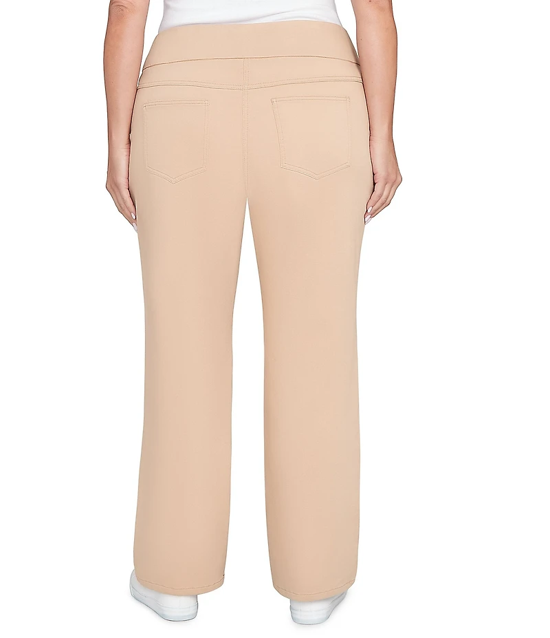 Ruby Rd. Plus Size Soft Terry Relaxed Pull-On Pants