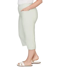 Ruby Rd. Plus Size Stretch Straight Leg Pull-On Capri Pants