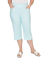 Ruby Rd. Plus Size Stretch Straight Leg Pull-On Capri Pants