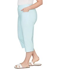 Ruby Rd. Plus Size Stretch Straight Leg Pull-On Capri Pants