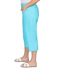 Ruby Rd. Plus Size Stretch Straight Leg Pull-On Capri Pants