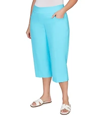 Ruby Rd. Plus Size Stretch Straight Leg Pull-On Capri Pants